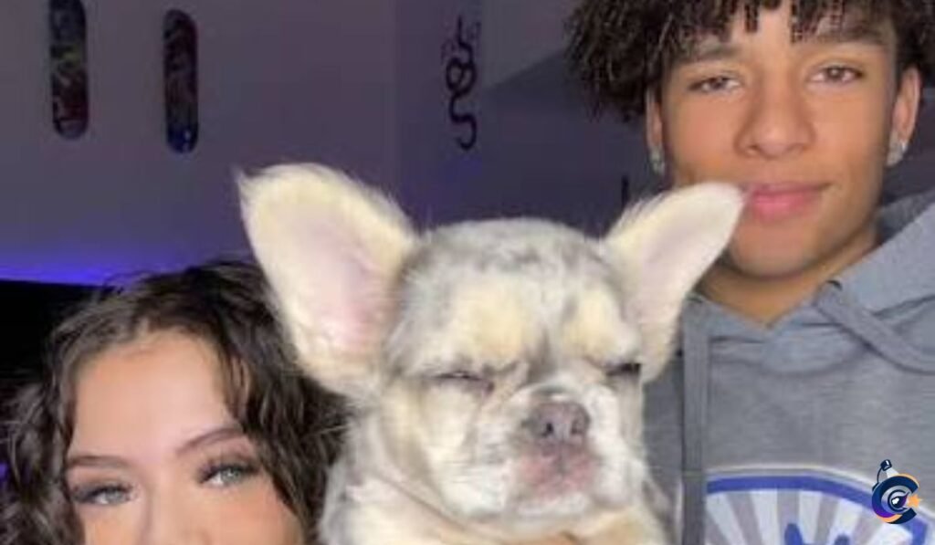 Kane Bailey Dog